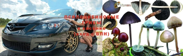 стафф Белокуриха