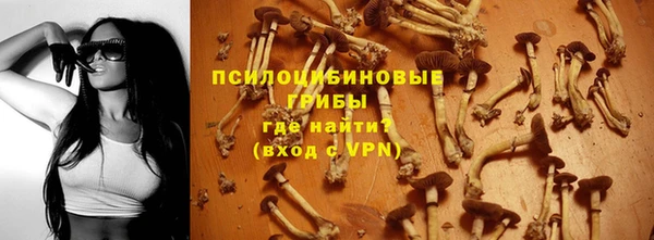 стаф Белоозёрский