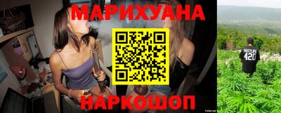 сатива Малгобек
