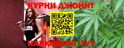 сатива Малгобек