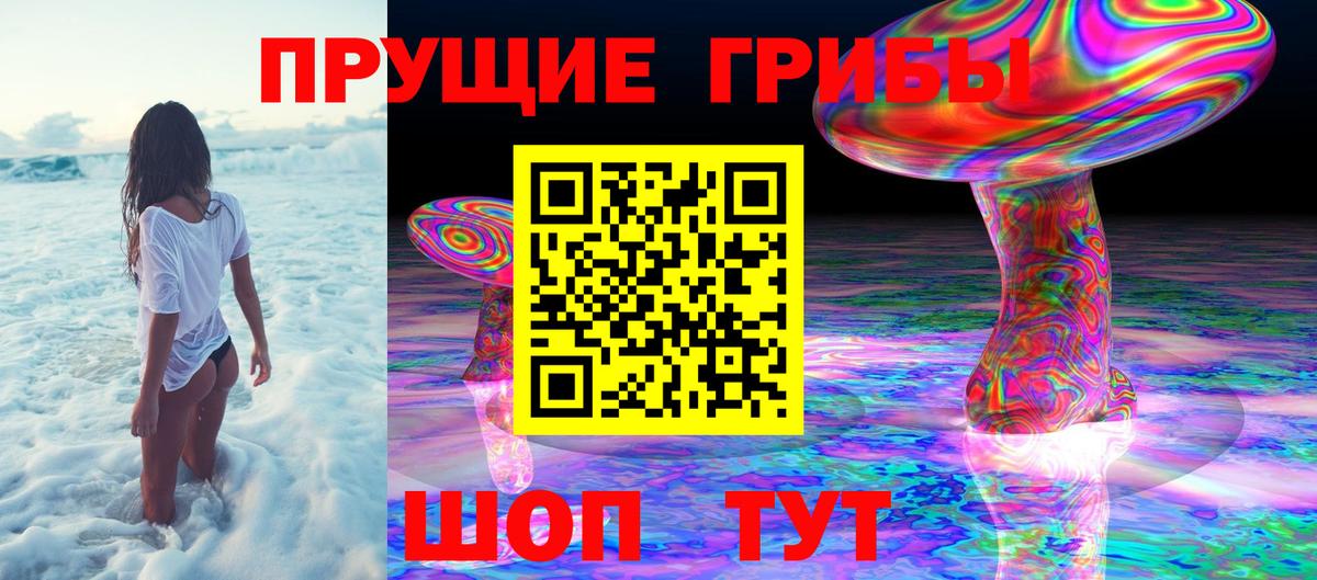 что такое   Вход с VPN  Улан-Удэ  Галлюциногенные грибы Magic Shrooms 