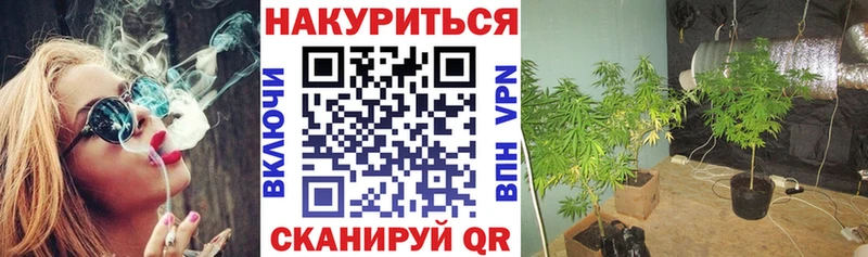 сколько стоит  мориарти как зайти  МЕГА маркетплейс  Каннабис ГИДРОПОН  Улан-Удэ 